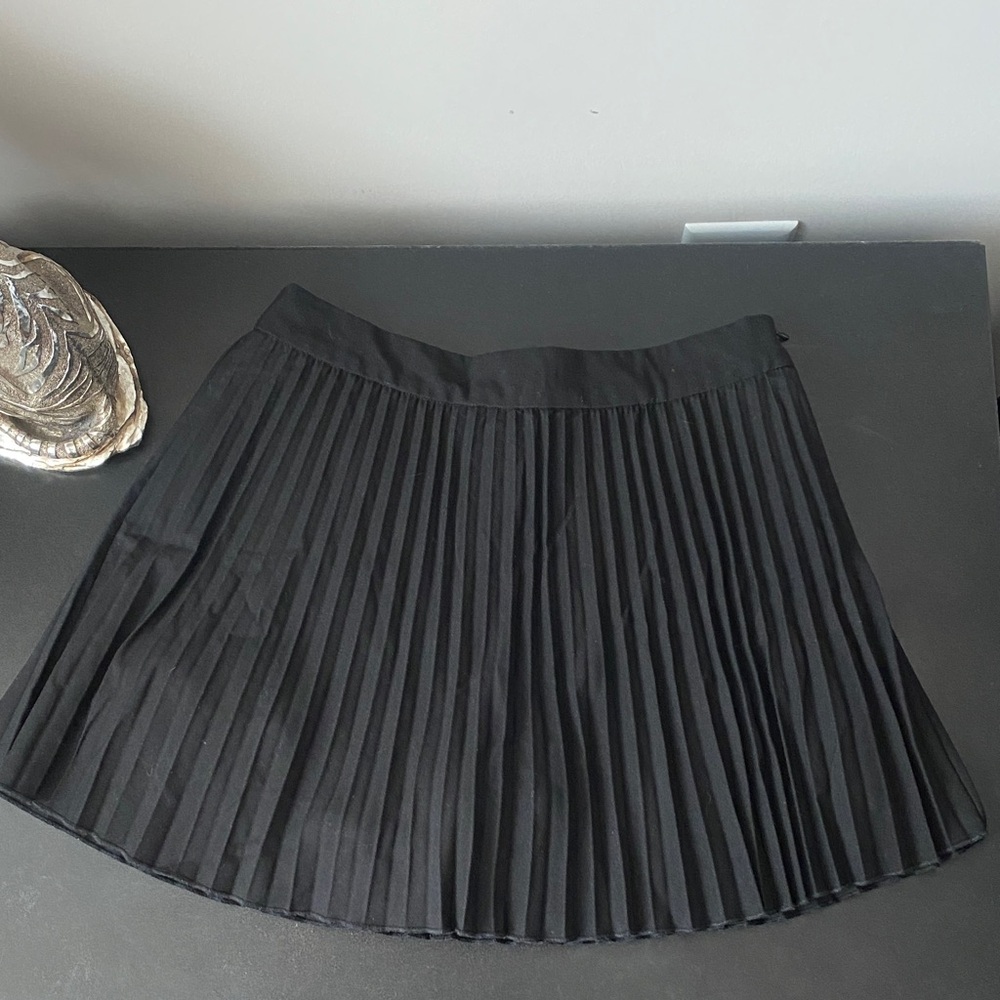 Zara Black Mini Pleated Skirt